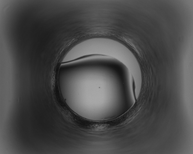 X0000100310495200806190945