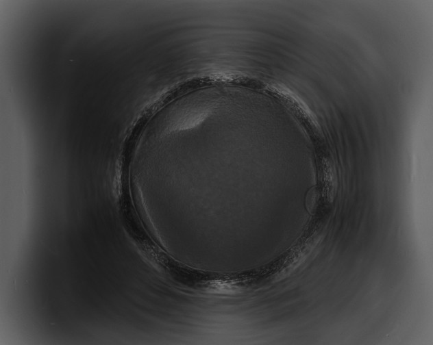 X0000100310496200806190945