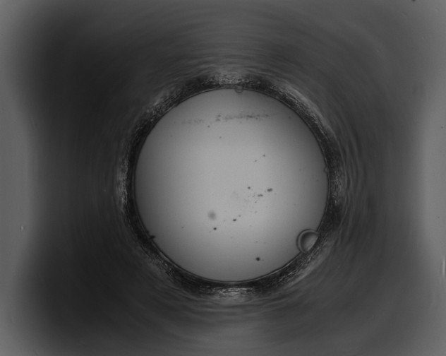 X0000100310497200806190945