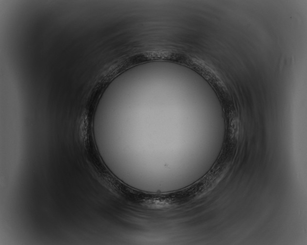 X0000100310498200806190945