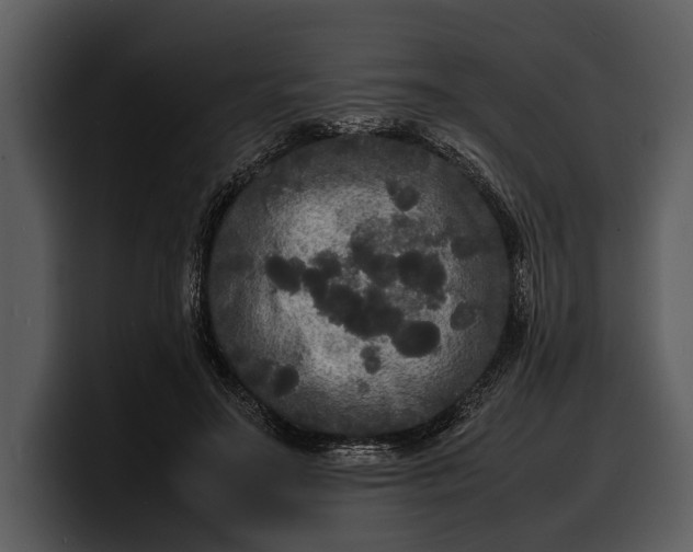 X0000100310499200806190945