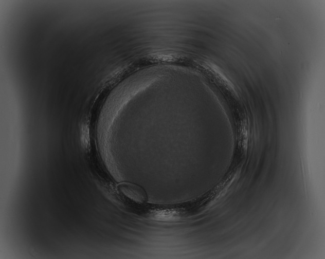 X0000100310500200806190945