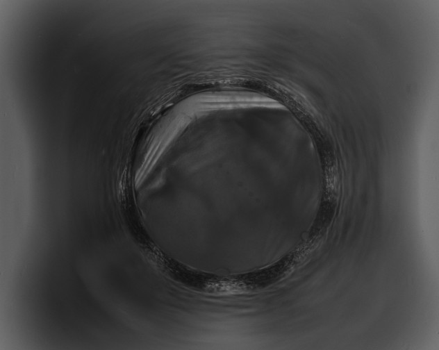 X0000100310503200806190945