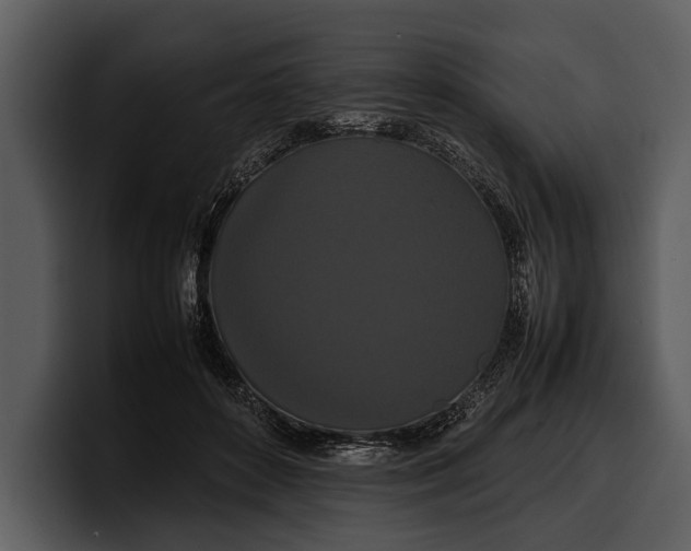 X0000100310504200806190945