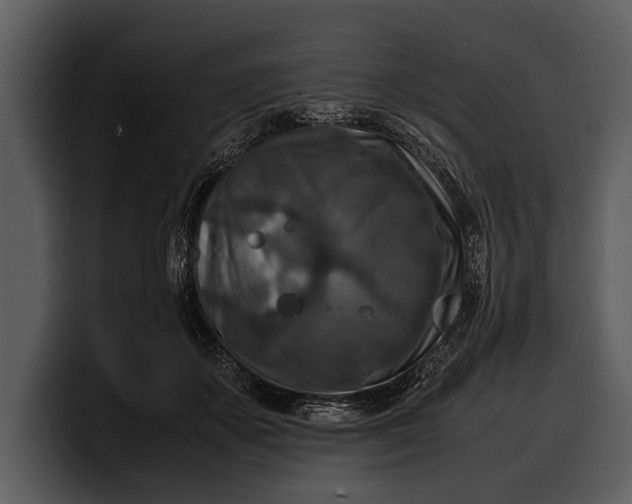 X0000100310507200806190945