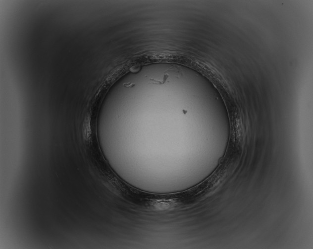 X0000100310508200806190945