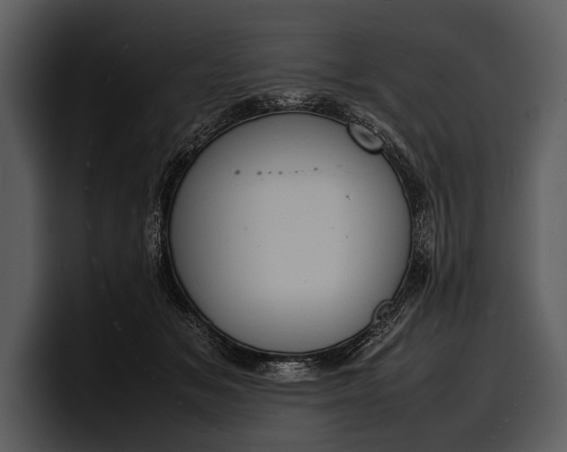 X0000100310509200806190945