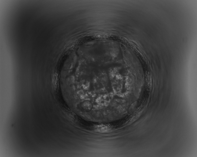 X0000100310511200806190945