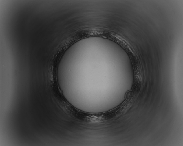 X0000100310512200806190945