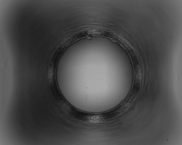 X0000100310513200806190945