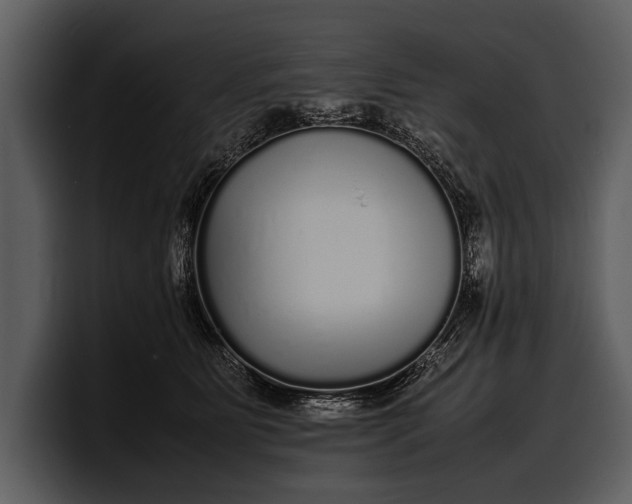 X0000100310515200806190945
