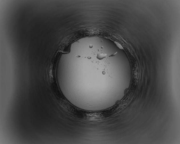 X0000100310516200806190945