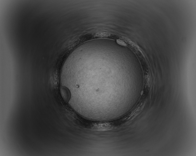 X0000100310517200806190945