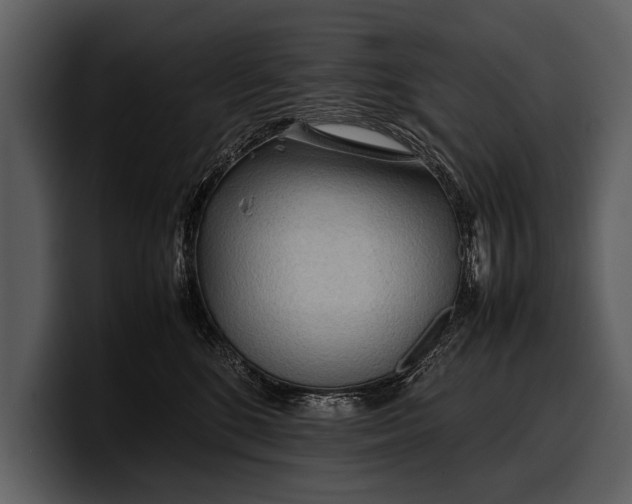 X0000100310520200806190945