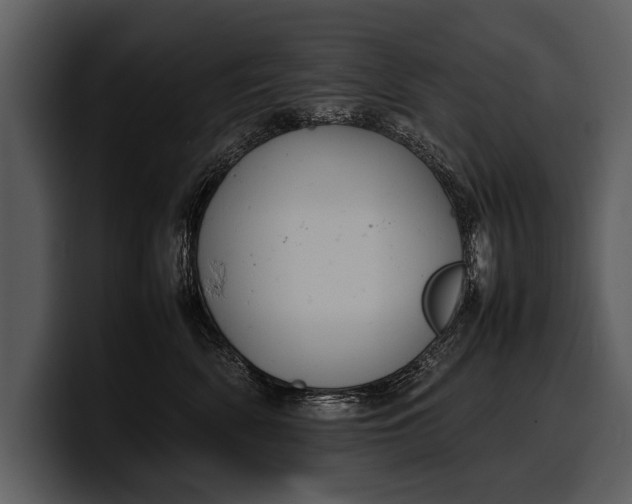 X0000100310522200806190945