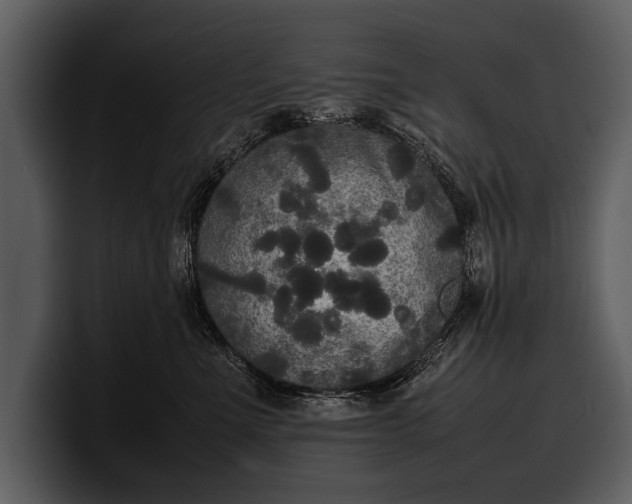 X0000100310523200806190945