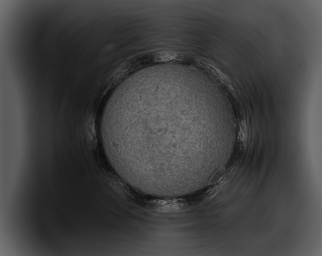 X0000100310524200806190945