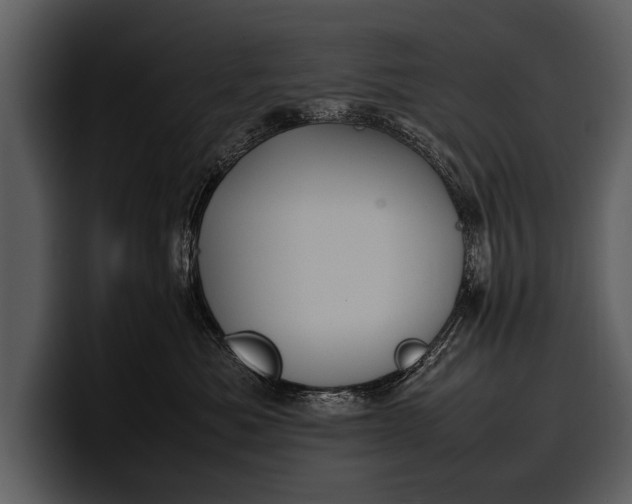 X0000100310525200806190945