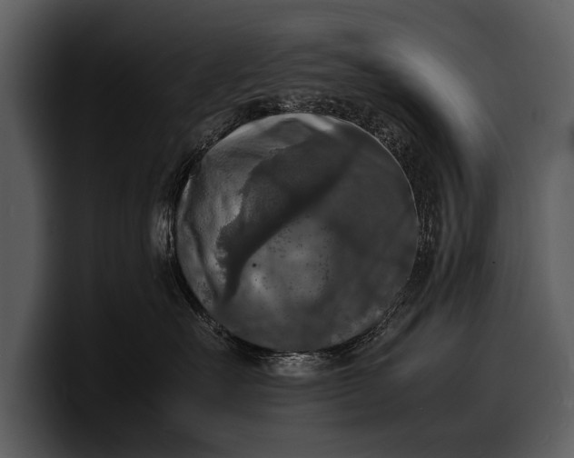 X0000100310527200806190945