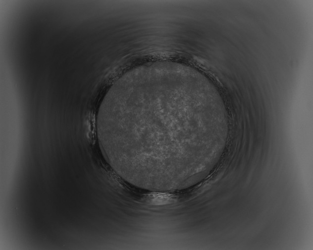 X0000100310528200806190945