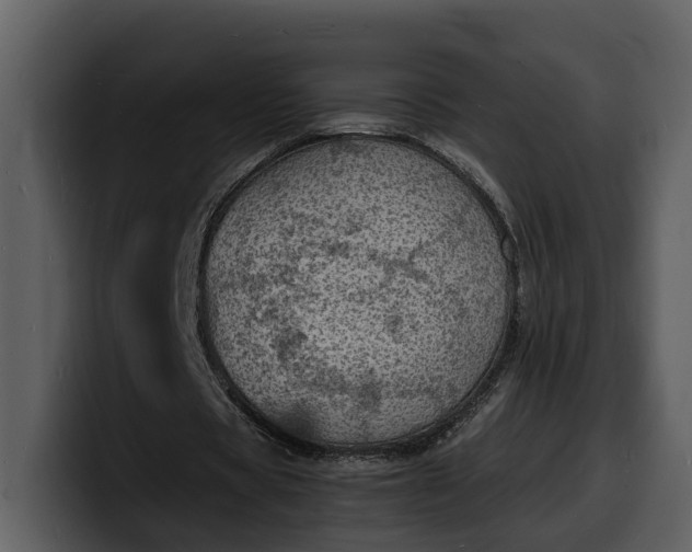 X0000100310529200806190944