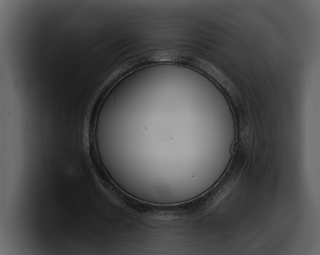 X0000100310530200806190944