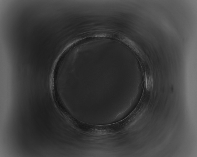 X0000100310531200806190944
