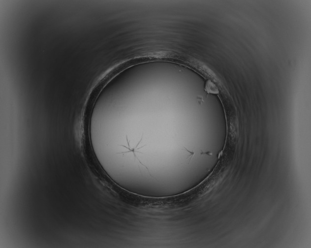 X0000100310532200806190944