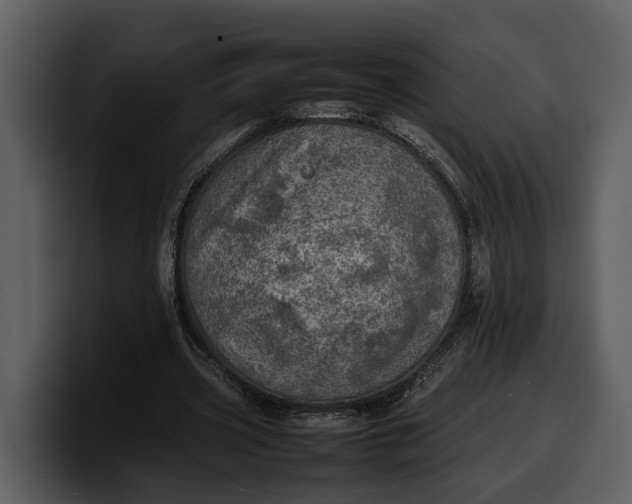 X0000100310533200806190944