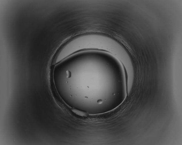 X0000100310534200806190944