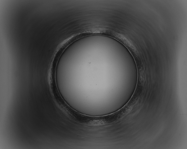 X0000100310536200806190944