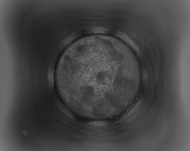 X0000100310537200806190944
