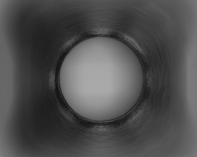 X0000100310538200806190944
