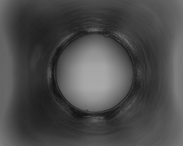 X0000100310539200806190944