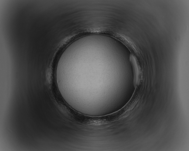 X0000100310540200806190944