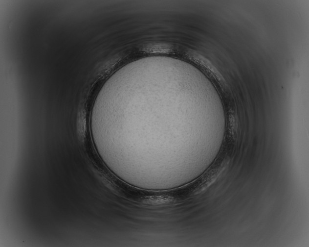 X0000100310541200806190944