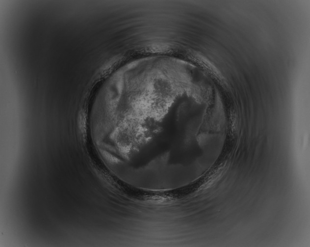 X0000100310542200806190944