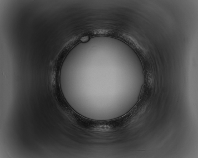 X0000100310543200806190944