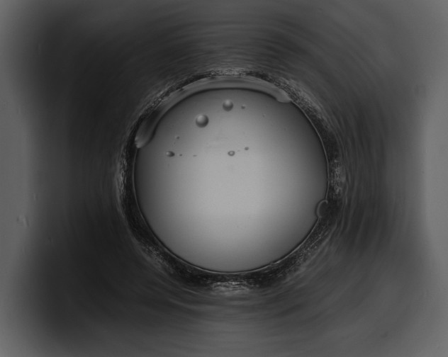 X0000100310544200806190944