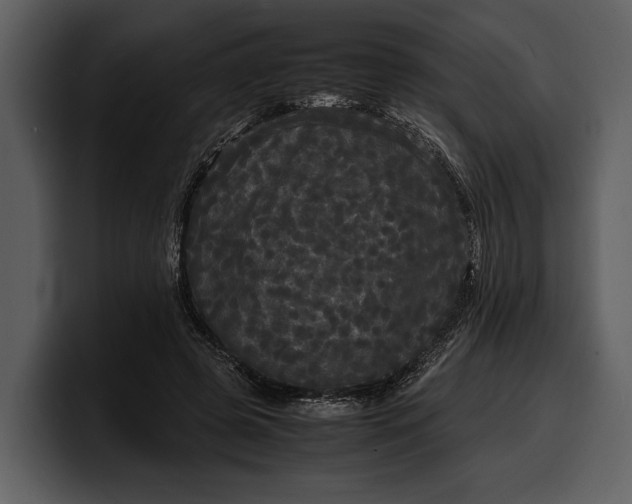 X0000100310545200806190944