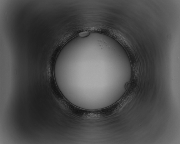 X0000100310546200806190944
