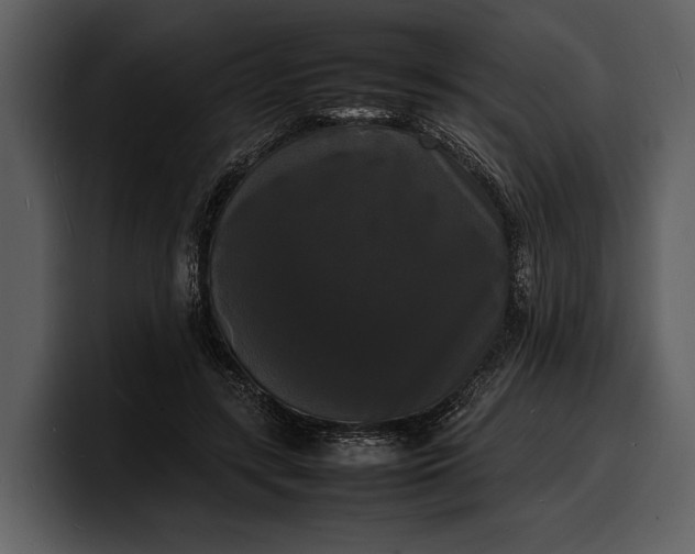 X0000100310547200806190944