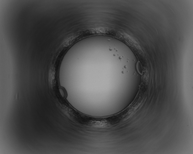 X0000100310548200806190944