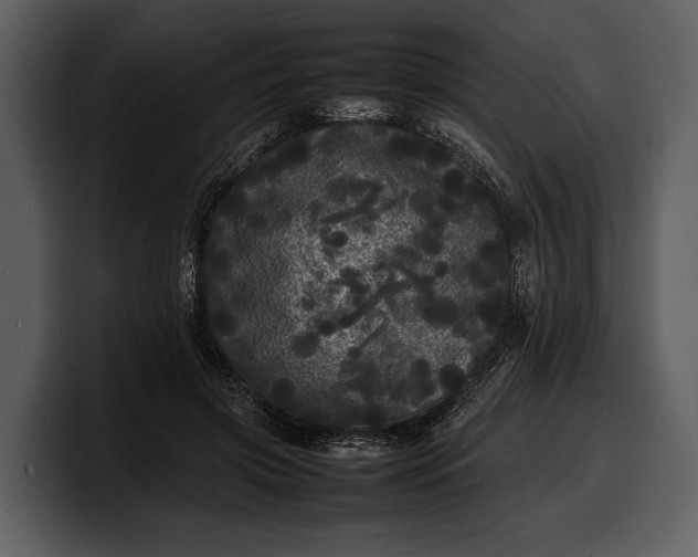 X0000100310549200806190944