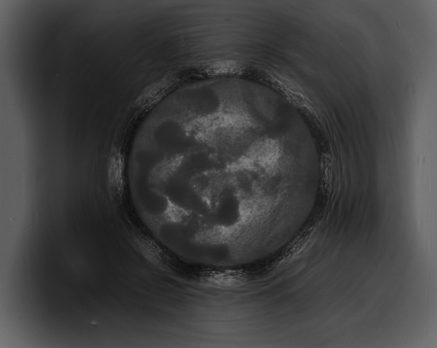 X0000100310550200806190944
