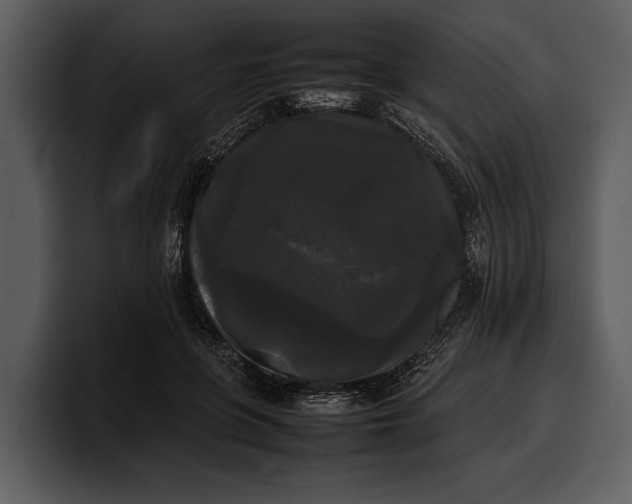 X0000100310551200806190944