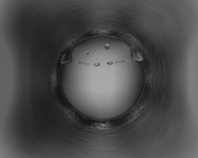 X0000100310552200806190944