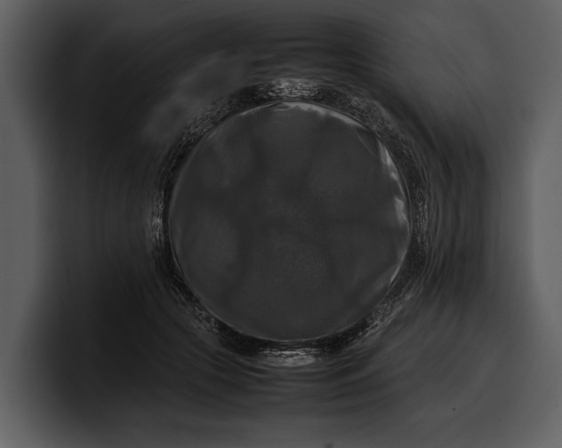 X0000100310553200806190944