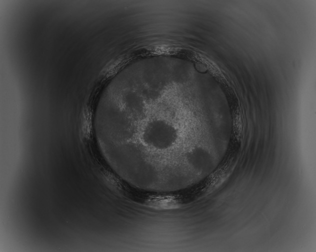 X0000100310554200806190944