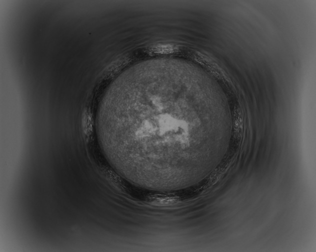 X0000100310555200806190944
